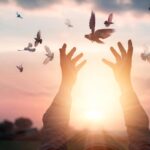 Holding Shadows: Forgiveness and Acceptance of the Past